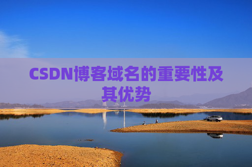 CSDN博客域名的重要性及其优势